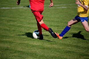 九游游戏中心官网-国家拳击协会发布高水平赛事医疗支持新规,拳击赛事医疗保障方案