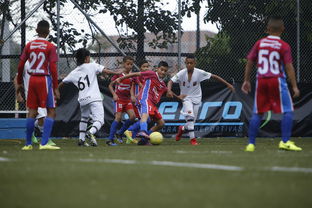 九游娱乐官网 (JIUYOU)-中国足球青训基地人才培养新模式研究与实践,中国足球青训体系是什么